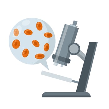 Microscope. Scientific equipment of laboratory. Study of microcosm. Education and science. Magnifying glass. Blood cell. Test and research. Flat icon vector