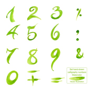 Set hand-drawn calligraphy numbers and symbols. Watercolor. vector