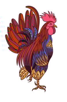 Decorative stylized hand-drawn rooster isolated on white background. Symbol of Chinese New Year 2017 vector