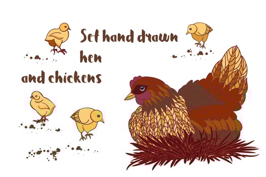 Set hand drawn rooster, hens and chickens vector