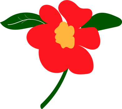 Png floral ornamental design elements