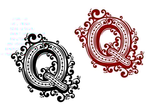 Capital letter Q with decorative elements vector