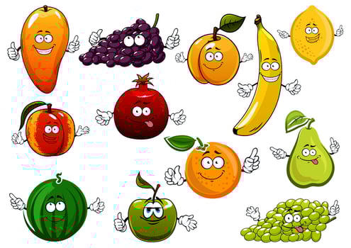 Cartoon happy fresh fruits characters vector