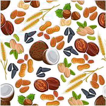 Nuts, seeds, legumes and cereal pattern vector