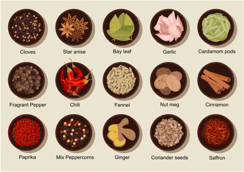 Natural healthy fresh and dried spices flat icon vector