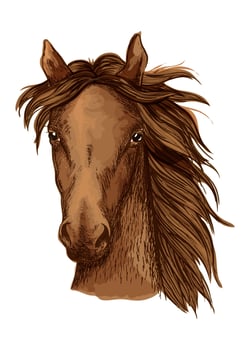 Beautiful brown horse portrait vector