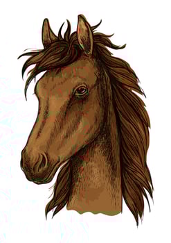 Brown proud horse artistic portrait vector