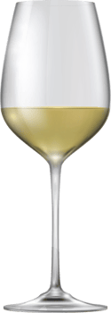 Glass of white wine png