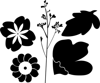Png floral ornamental design elements
