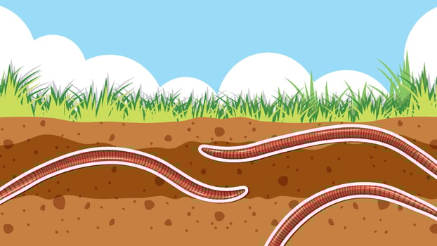 Background of earthworm in soil vector