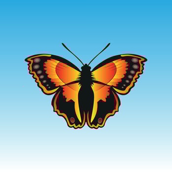 Butterfly realistic isolated free vector art