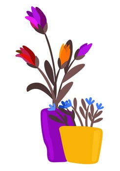 Bright flowers in pots. Vector isolated illustration.