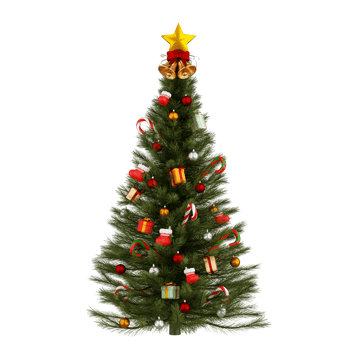 Christmas tree isolated 3d render png