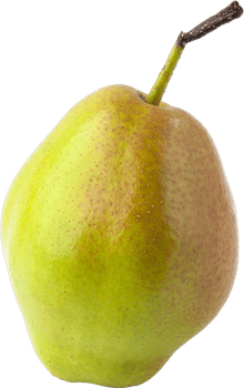 isolated pear fruit on transparent background. png