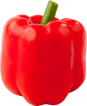 isolated bell pepper on transparent background. png