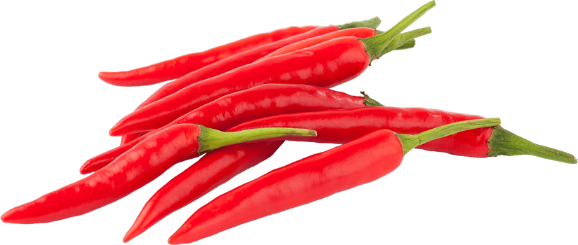 isolated red chilli on transparent background. png