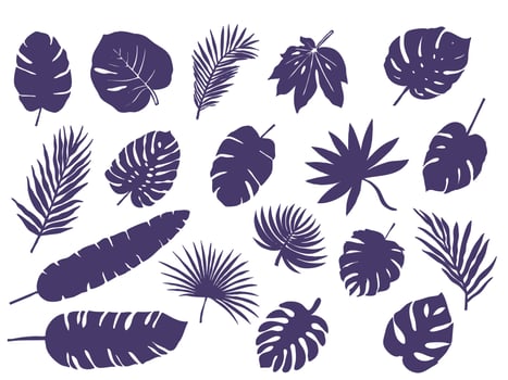 Large set of silhouettes of tropical leaves and palm branches vector