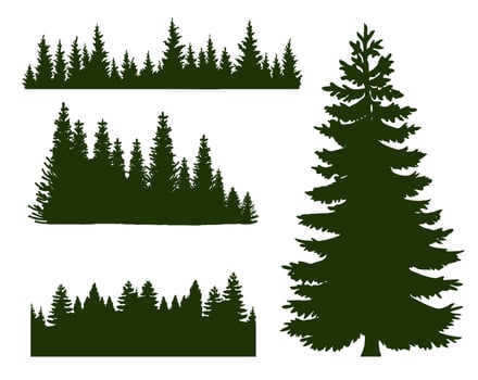 Several forest and Christmas tree silhouettes for your art and creativity vector