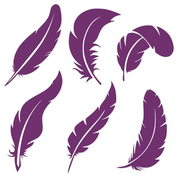 Set of six silhouettes of feathers vector