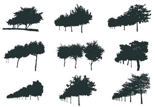 Set of forest trees silhouettes vector