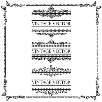 vector illustration set of border calligraphic and dividers decorative