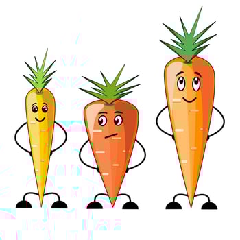 Funny carrots cartoon characters in flat technique vector