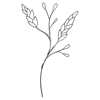 Minimal decoration floral ATL png