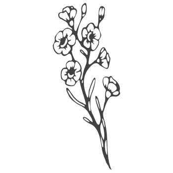 Minimal decoration floral ATL png