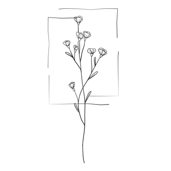 Minimal decoration floral ATL png