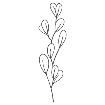 Minimal decoration floral ATL png