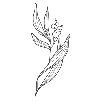 Minimal decoration floral ATL png