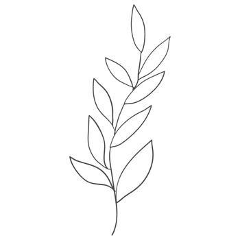 Minimal decoration floral ATL png