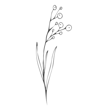 Minimal decoration floral ATL png