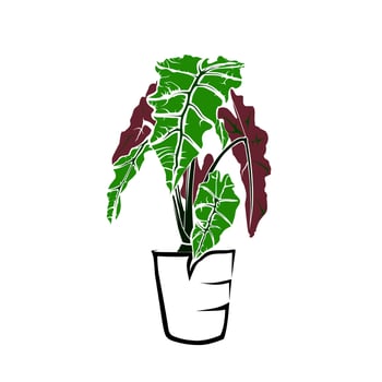 plant in a pot vector