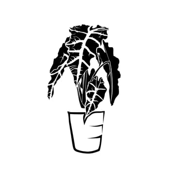 plant in a pot vector