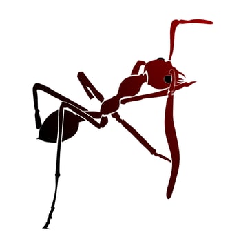red ant vector or range ant, can be used for logos or other illustrations.