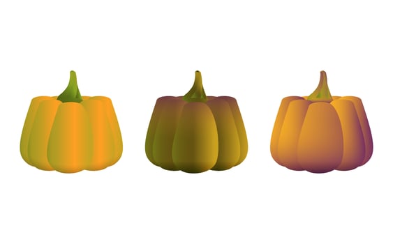 Pumpkins Collection in realistic style. Dark and orange fresh pumpkin. Helloween autumn holiday. Colorful vector illustration isolated on white background.