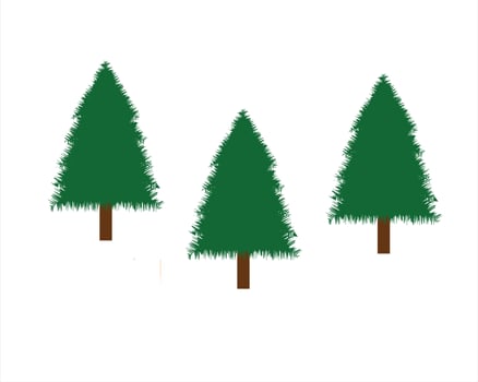 Pine tree pictures vector