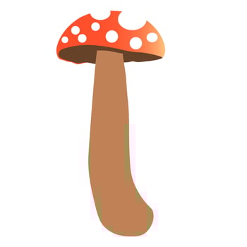 Mushroom Character. Mushroom Illustration, Mushroom Mascot Character vector