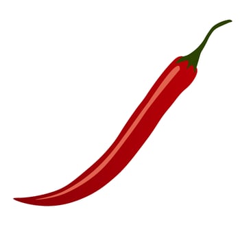 Chili Pepper Vector. vector