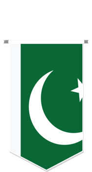 Pakistan flag in soccer pennant, various shape. png