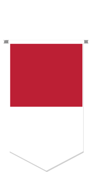 Indonesia flag in soccer pennant, various shape. png