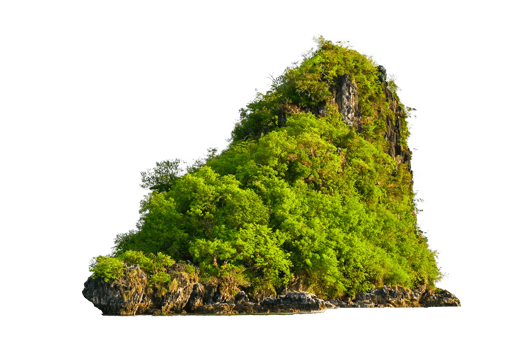 Isolate the island in the middle of the green sea white background separated from the background png