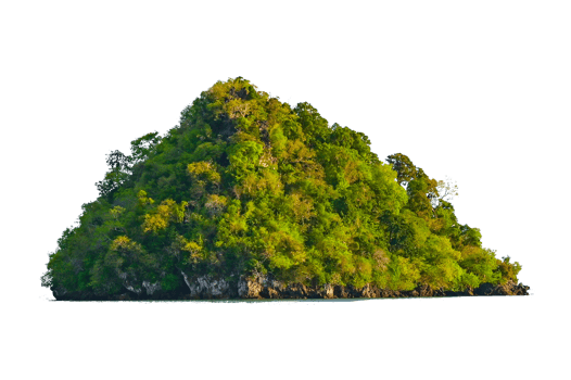 Isolate the island in the middle of the green sea white background separated from the background png