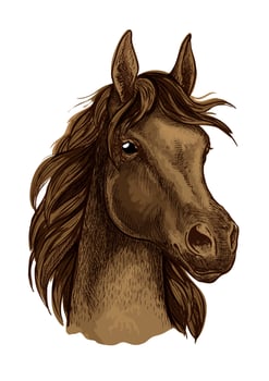 Brown mustang horse artistic portrait vector