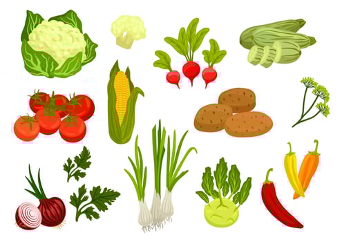 Farm vegetables isolated flat icons vector