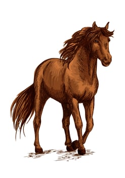 Brown horse pacing calm in wild vector