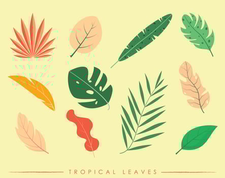 Colored Tropical Leaves vector