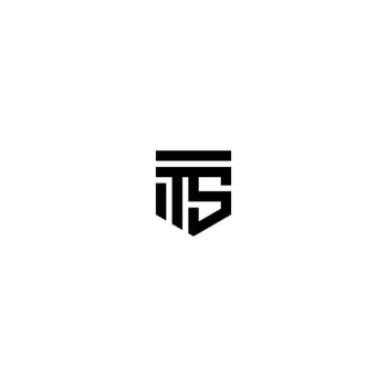 Initial TS logo concept vector. Creative Icon Symbol Pro Vector