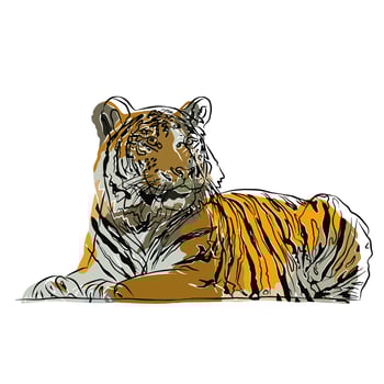 It's a beautiful tiger picture. vector